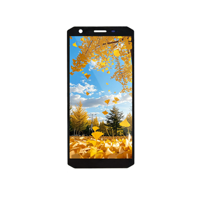 Dobra cena. 5.45-calowy moduł wyświetlacza TFT LCD 720x1440 Interfejs MIPI w Internecie